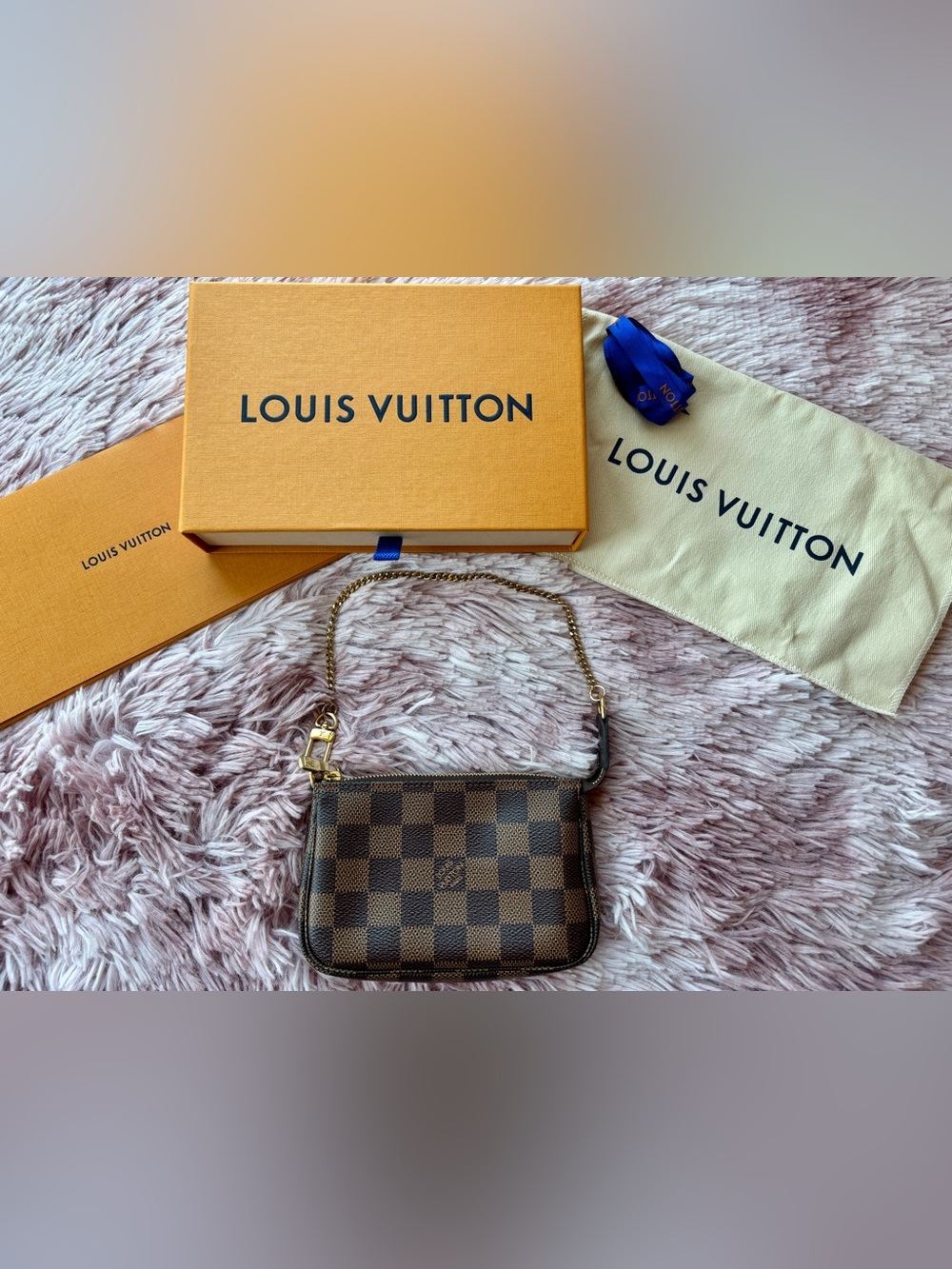 NWT Louis Vuitton Mini Pochette Accessoires